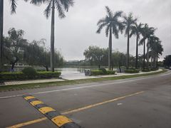 -顺德职业技术大学