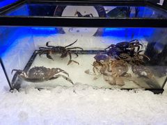 -加餐海鲜自助(宝龙一城店)
