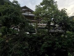 -农家野菜馆