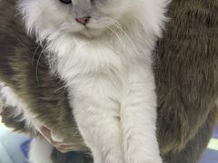-极木²邸 人与宠物·互动社区