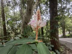 -金山植物公园