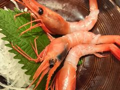 -小乔回转寿司(沈阳大悦城店)