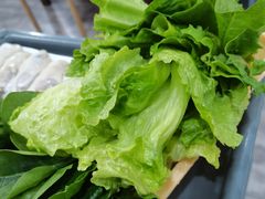 -濠轩阁特色生蚝火锅(水湾路店)