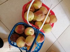 -昆明东站水果交易市场