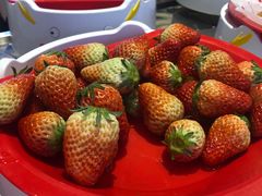 -龍歌自助小火锅(市北CBD万达店)