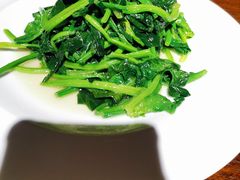 -金枝玉叶上海人家食府(三里河店)