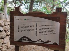 -石老人观光园