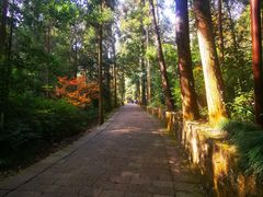 -雁荡山风景名胜区