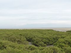 -北海金海湾红树林生态旅游区
