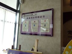 -宠爱国际动物医院· 猫科· 外科·中兽医(长白店)