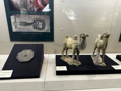-安阳博物馆