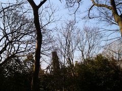 -上海佘山国家森林公园天马山园