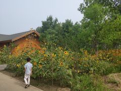 -东郊湿地公园