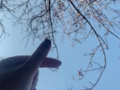 -仁爱团泊湖温泉中心