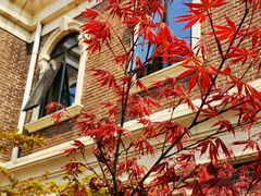 -天津五大道文化旅游区