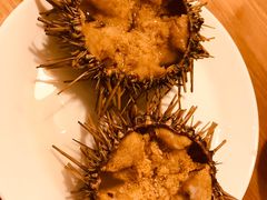 鲜海胆-海胆小馆(东北水饺·春柳店)