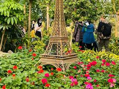 -南宫五洲植物乐园