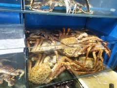 -蚝专家(北滘店)