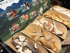 野生菌6拼-芸山季·云南山珍菌火锅(人民广场来福士店)