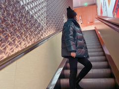 -路易·威登(香榭丽舍大道店)