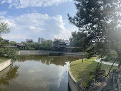 -善化寺