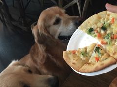 -百好乐宠物友好餐厅(朝外大街店)