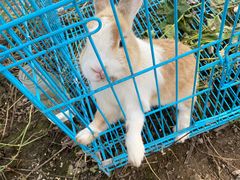 -美家乐农庄·露营·团建(大治路店)