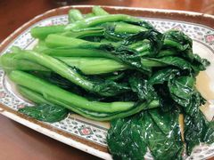 广式菜心-聂记粤菜馆(鼓西路店)