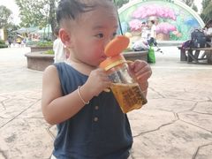 -美的鹭湖森林度假区