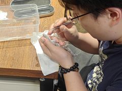 -酷以爬仙阁实体爬宠店·守宫·蜥蜴·专业繁育