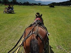 -新疆那拉提国家旅游度假区