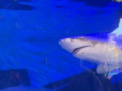 -横店影视城梦幻谷园区