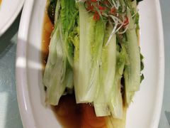 罗马生菜-粗茶淡饭•陕菜•家常菜