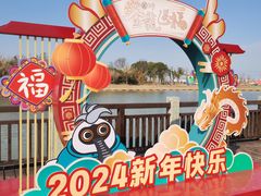 -宁波杭州湾国家湿地公园
