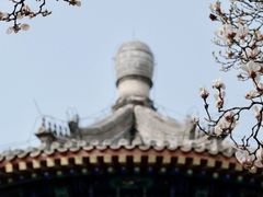 -大钟寺古钟博物馆
