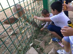 -西安秦岭野生动物园