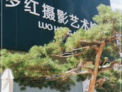 -罗红摄影艺术馆