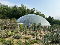 -深圳仙湖植物园