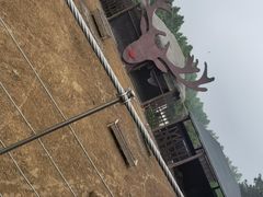 -日照海滨国家森林公园