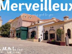 -北京张裕爱斐堡酒庄