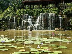-中国科学院西双版纳热带植物园
