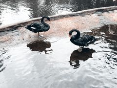 -海南热带野生动植物园