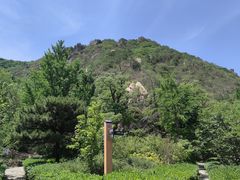 -北京鹫峰国家森林公园