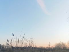 -马家湾湿地公园