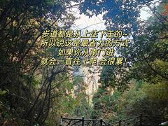 -刘伯温故里景区百丈漈