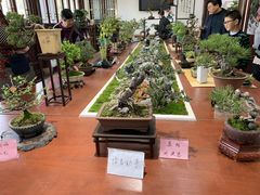 -荆川公园