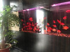 -大唐盲人按摩中心(黄山路店)