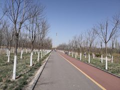 -天津东丽湖风景区