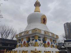 -护国法轮寺