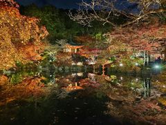 -醍醐寺